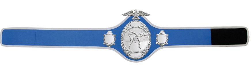 THAI BOXING CHAMPIONSHIP BELT - PRO288/S/TBOS - 10 COLOURS THAI BOXING CHAMPIONSHIP BELT - PRO288/S/TBOS - 10 COLOURS